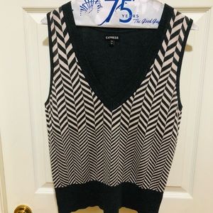 Express Knit Sweater Vest